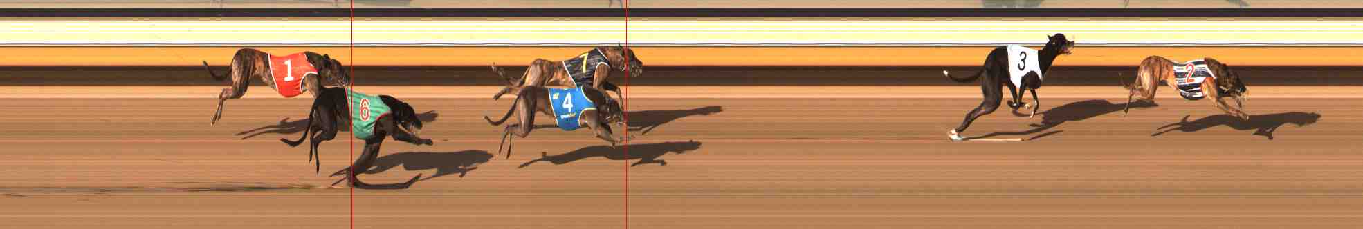 Photo finish for Warrnambool Race 10