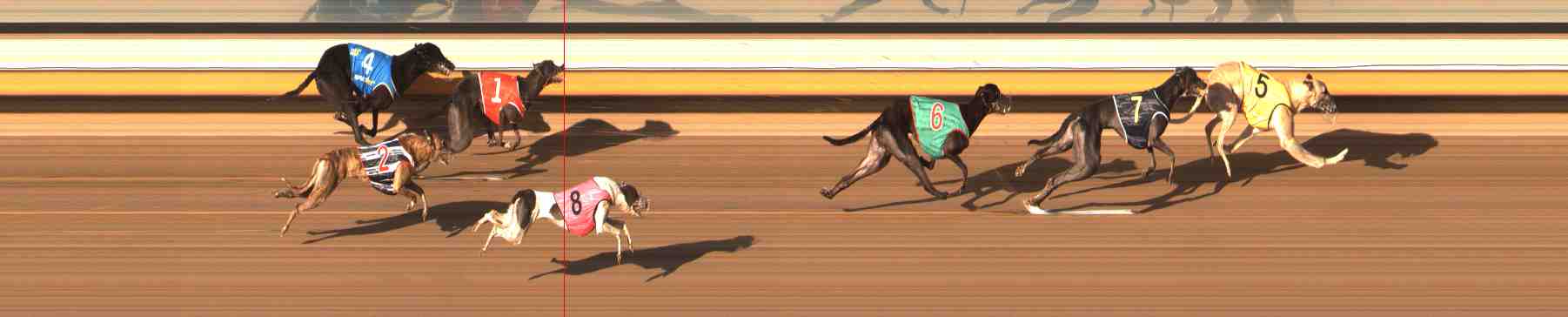 Photo finish for Warrnambool Race 11