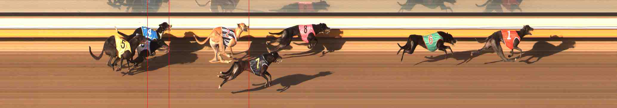 Photo finish for Warrnambool Race 12