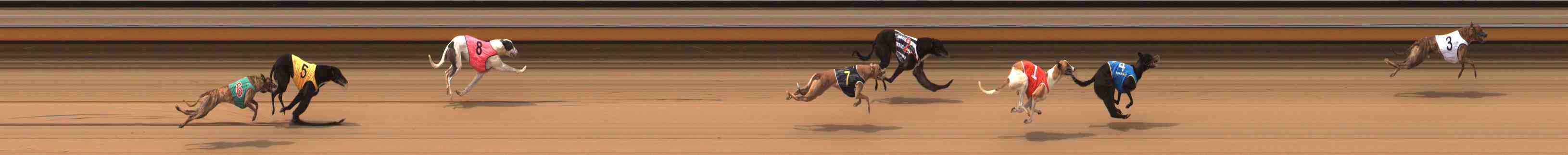 Photo finish for Warrnambool Race 2