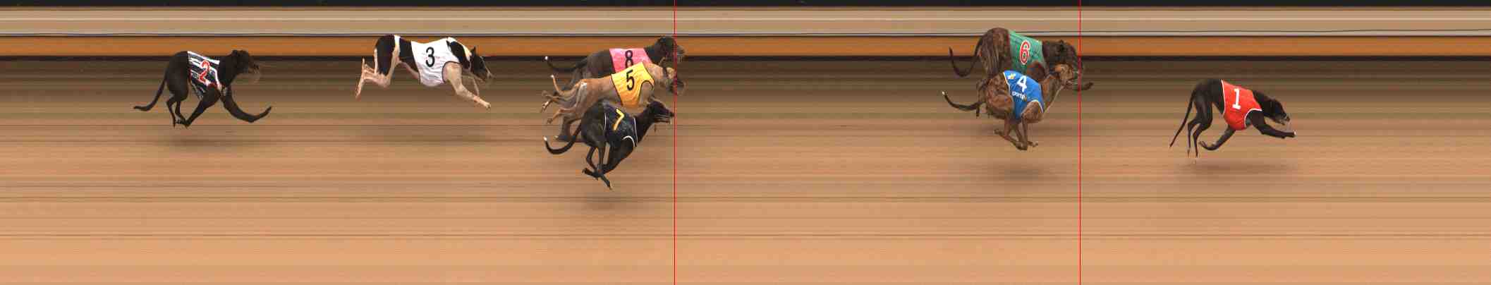Photo finish for Warrnambool Race 3