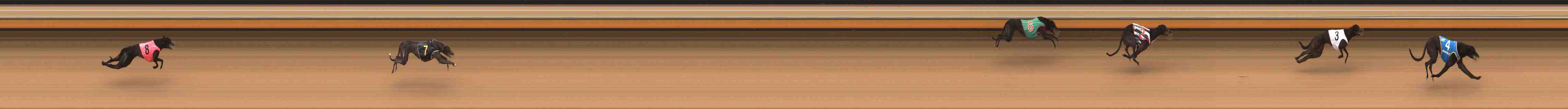 Photo finish for Warrnambool Race 4