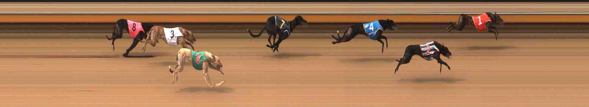 Photo finish for Warrnambool Race 5