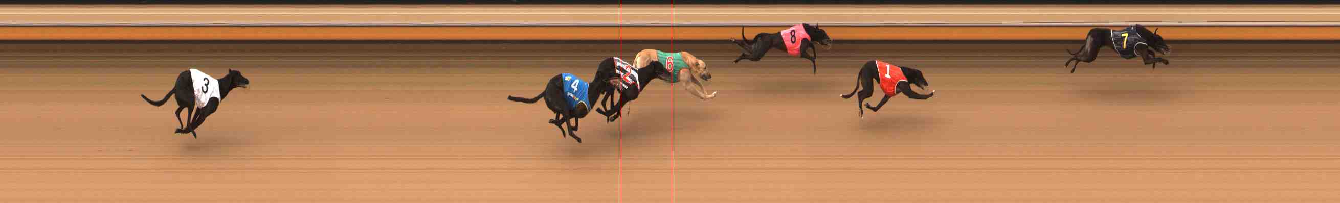 Photo finish for Warrnambool Race 6