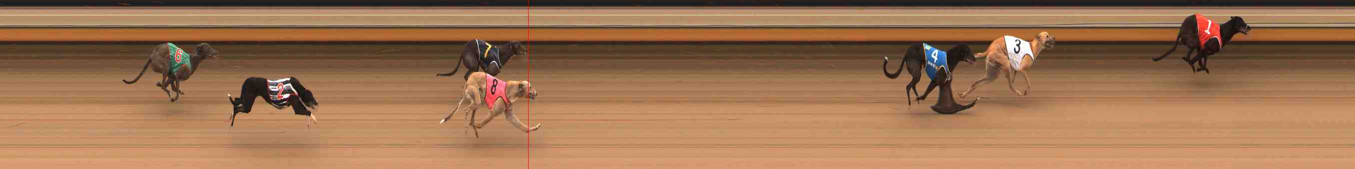 Photo finish for Warrnambool Race 7