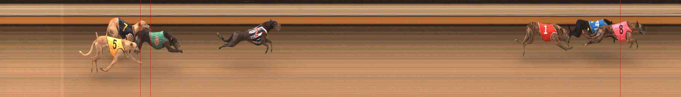 Photo finish for Warrnambool Race 8