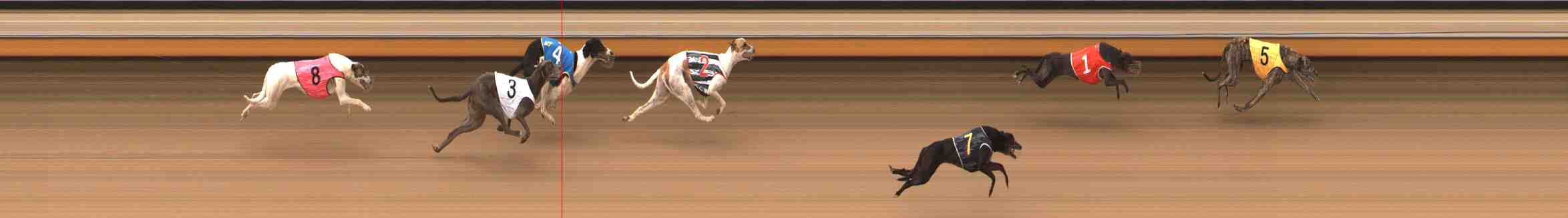 Photo finish for Warrnambool Race 9