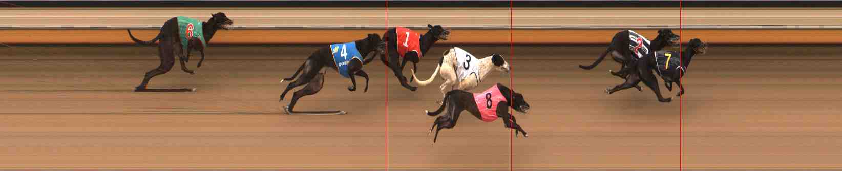 Photo finish for Warrnambool Race 10
