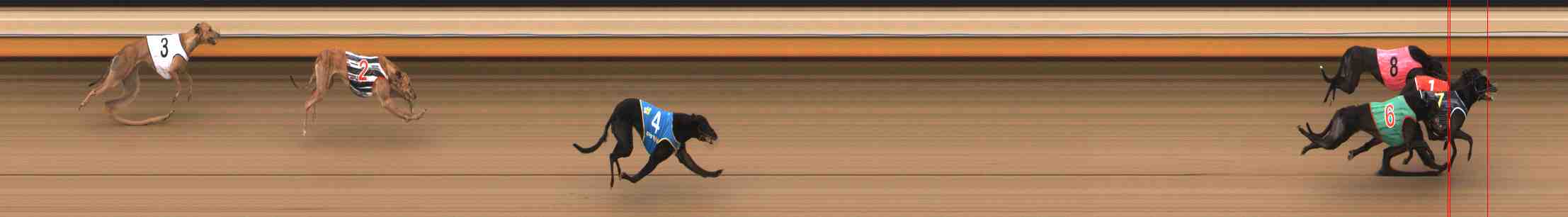 Photo finish for Warrnambool Race 11