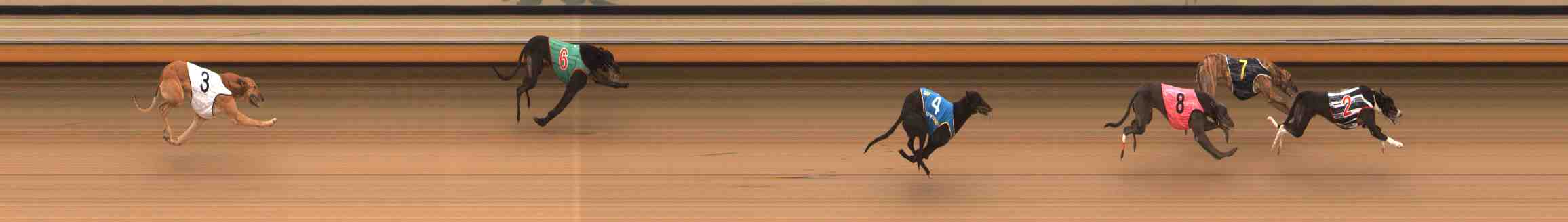 Photo finish for Warrnambool Race 12