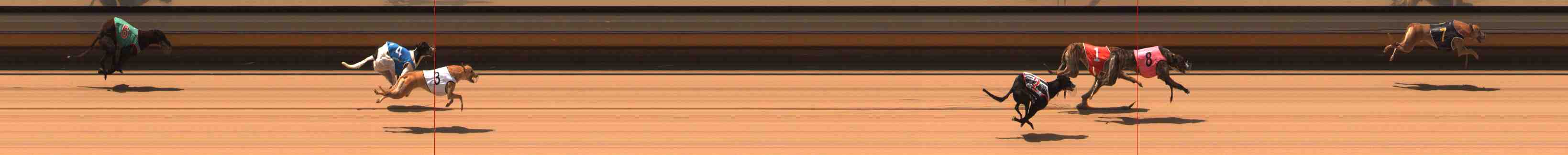 Photo finish for Warrnambool Race 2