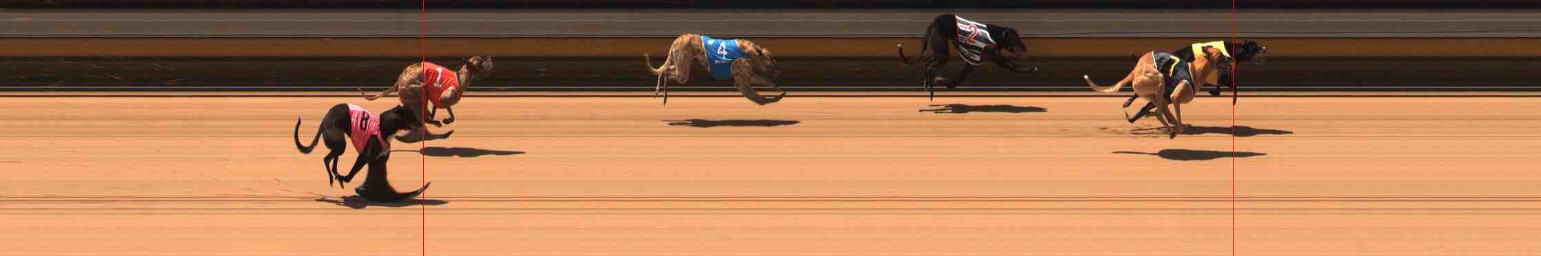 Photo finish for Warrnambool Race 3