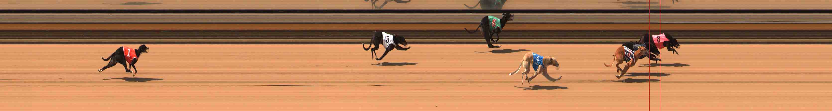 Photo finish for Warrnambool Race 5