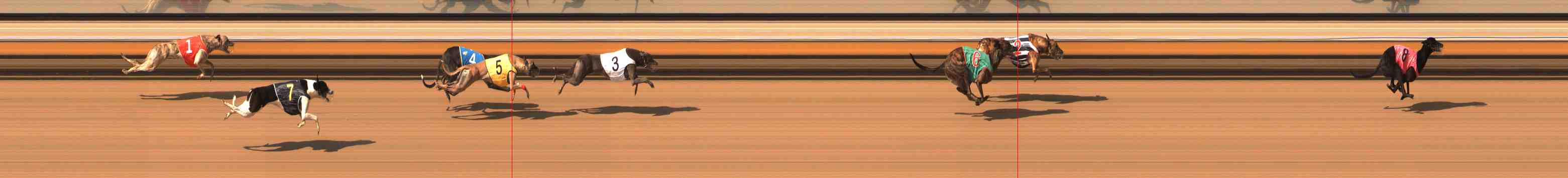 Photo finish for Warrnambool Race 9