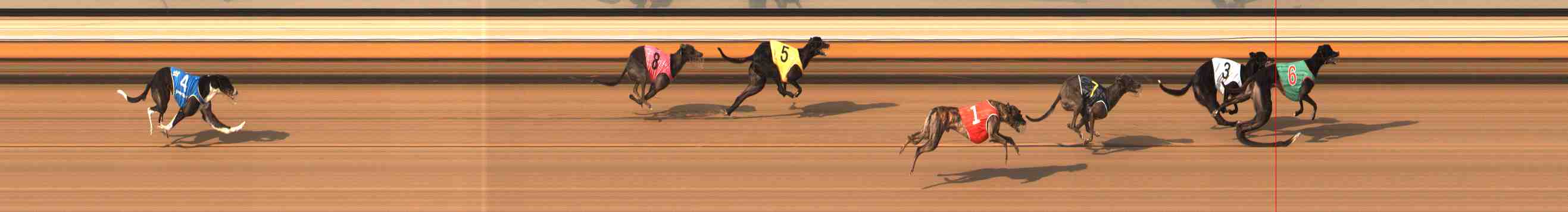 Photo finish for Warrnambool Race 11