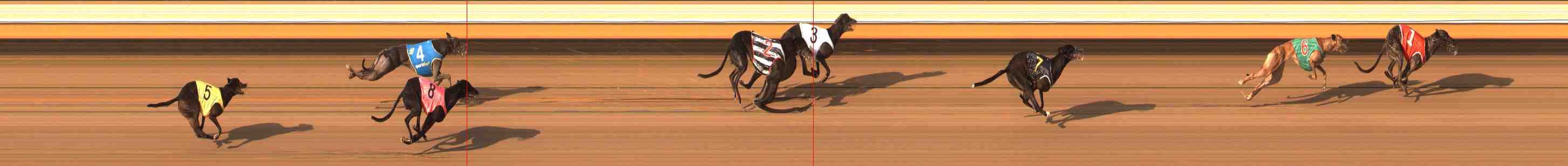Photo finish for Warrnambool Race 13
