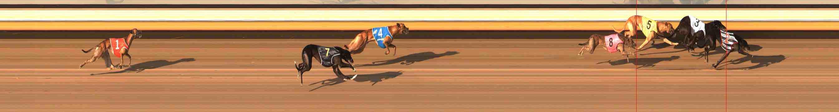Photo finish for Warrnambool Race 2