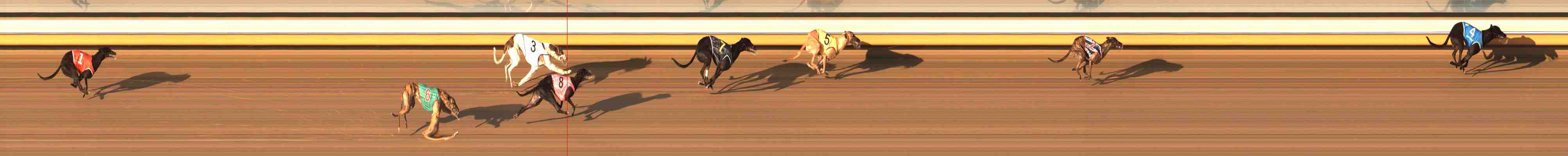 Photo finish for Warrnambool Race 4