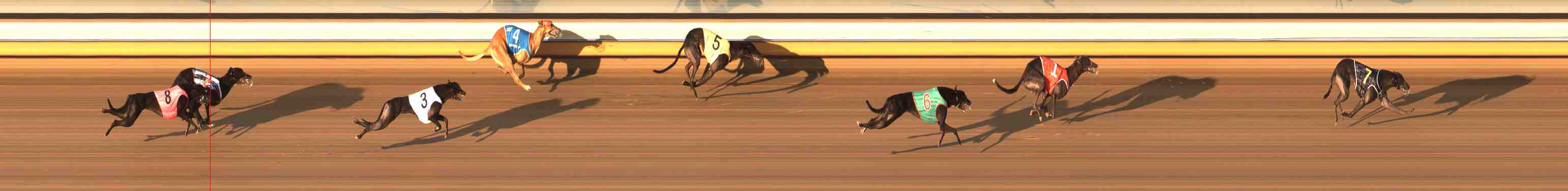 Photo finish for Warrnambool Race 5