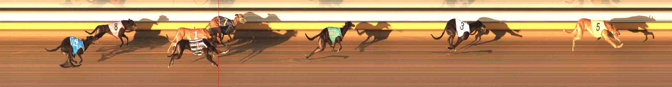 Photo finish for Warrnambool Race 6