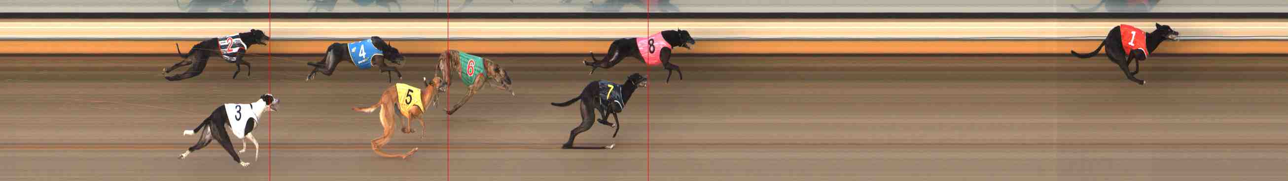 Photo finish for Warrnambool Race 7