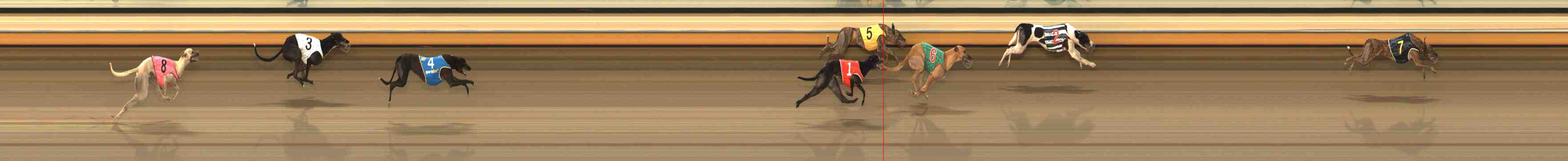Photo finish for Warrnambool Race 8