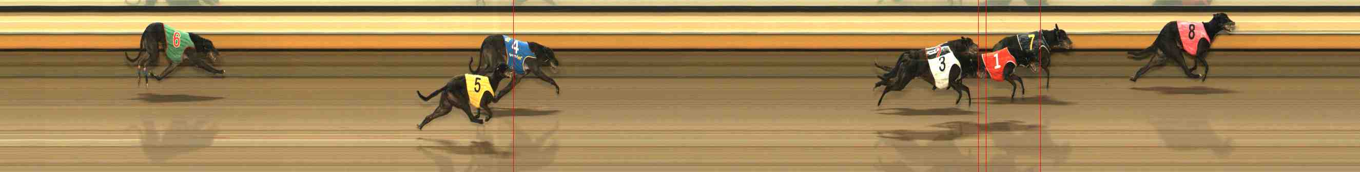 Photo finish for Warrnambool Race 9