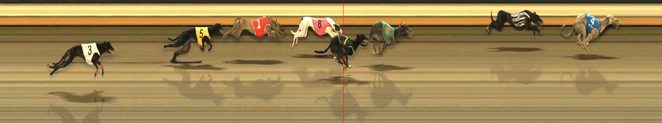 Photo finish for Warrnambool Race 10