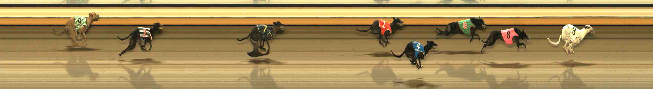 Photo finish for Warrnambool Race 11