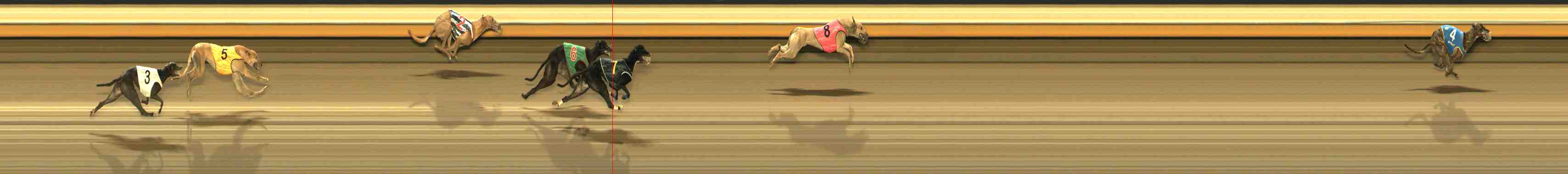 Photo finish for Warrnambool Race 12