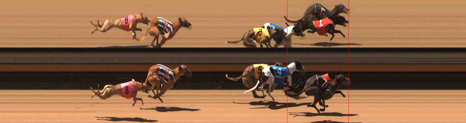 Photo finish for Warrnambool Race 2