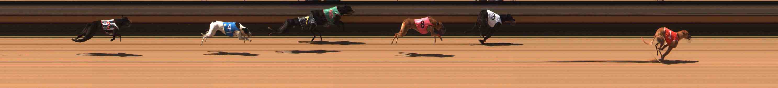 Photo finish for Warrnambool Race 4