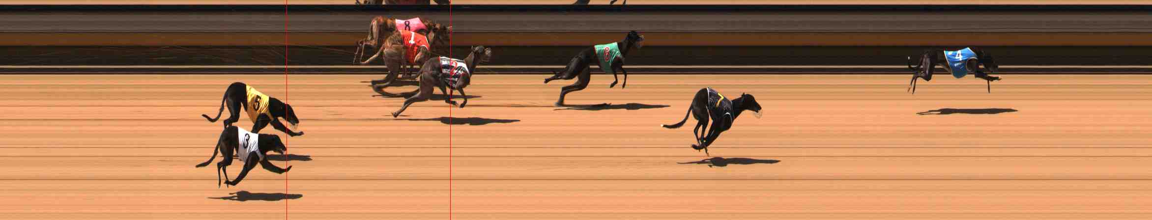 Photo finish for Warrnambool Race 5