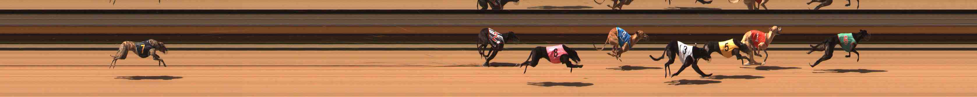 Photo finish for Warrnambool Race 6