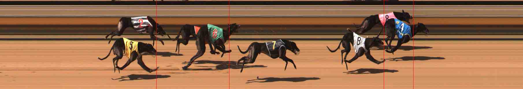 Photo finish for Warrnambool Race 8