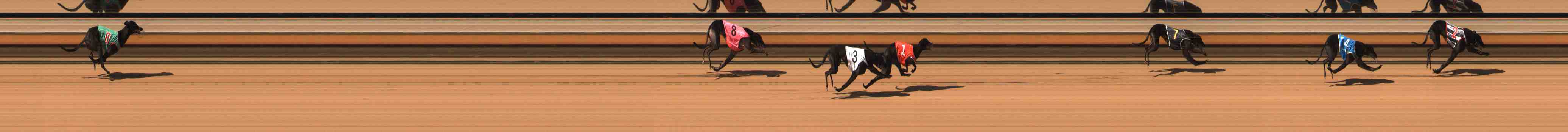 Photo finish for Warrnambool Race 9