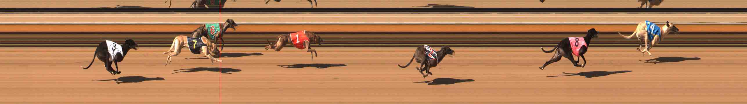 Race result finish photo