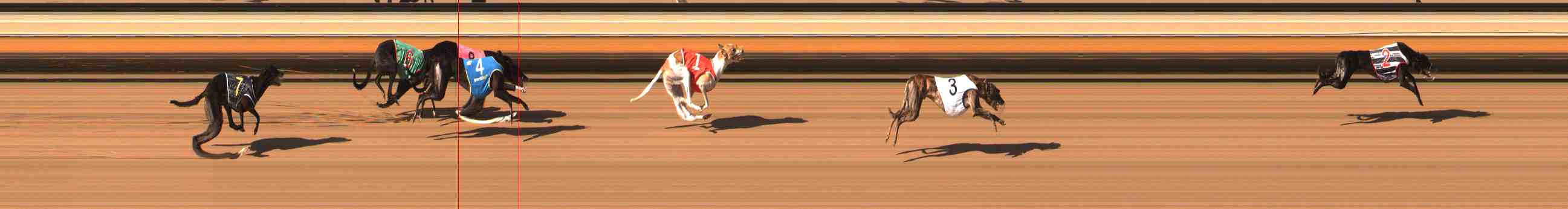 Photo finish for Warrnambool Race 11