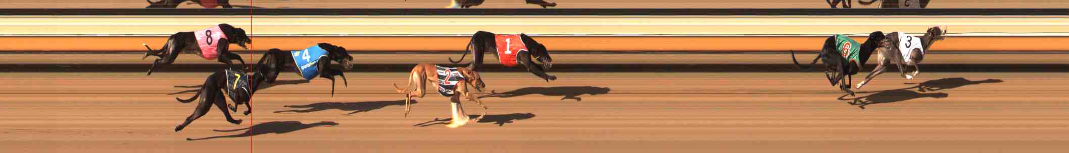 Photo finish for Warrnambool Race 12