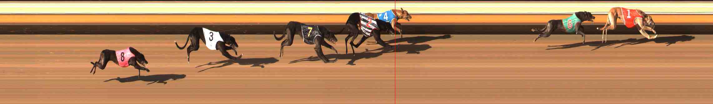 Photo finish for Warrnambool Race 13