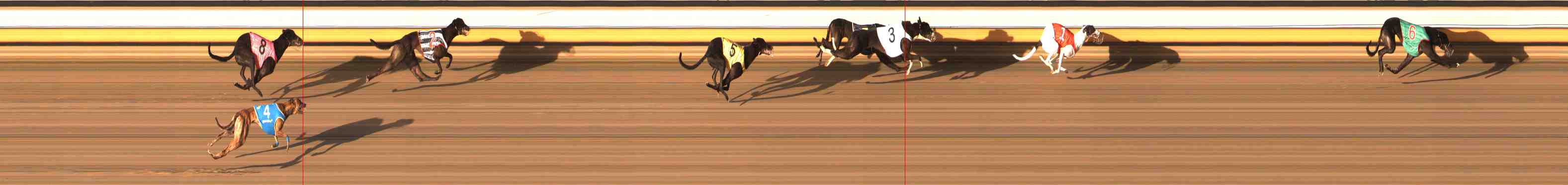 Race result finish photo