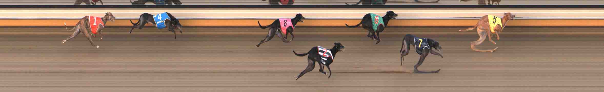 Race result finish photo