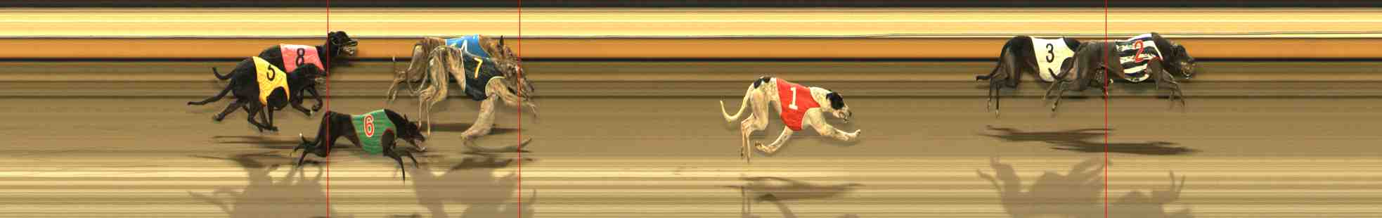 Race result finish photo