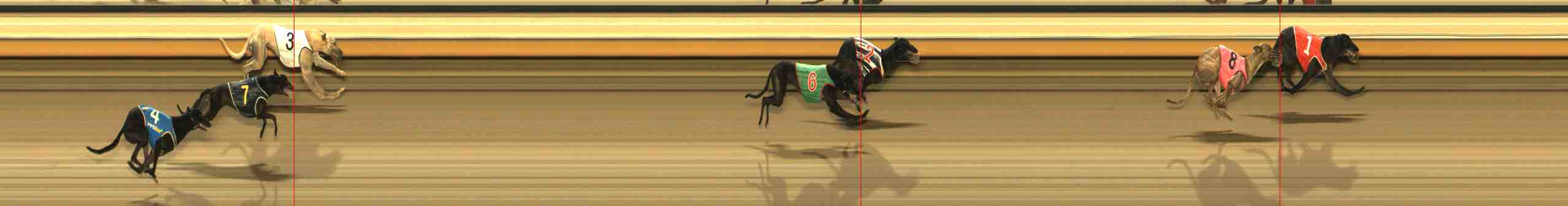 Race result finish photo