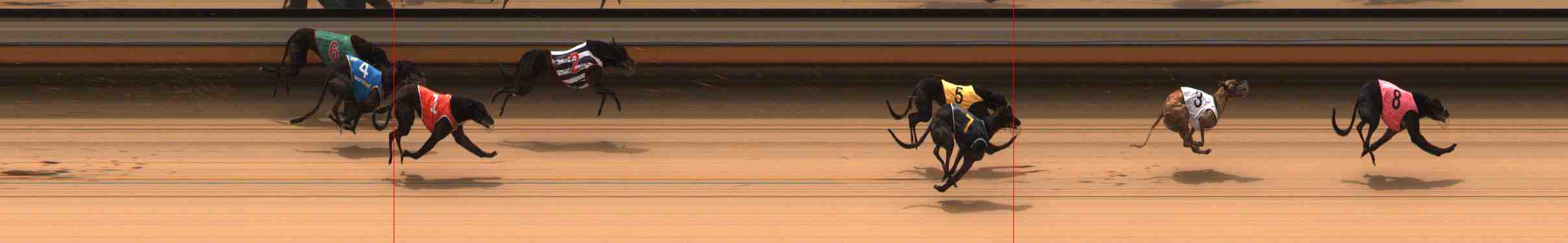 Photo finish for Warrnambool Race 1