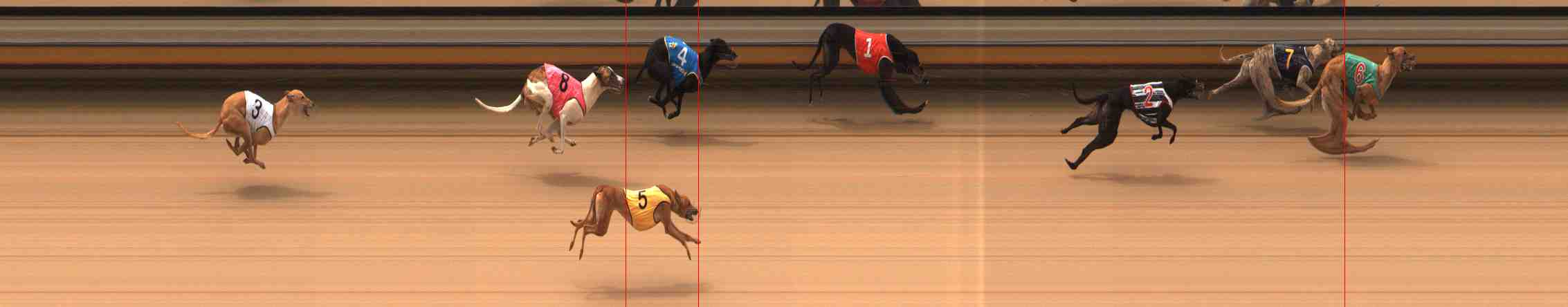 Photo finish for Warrnambool Race 2