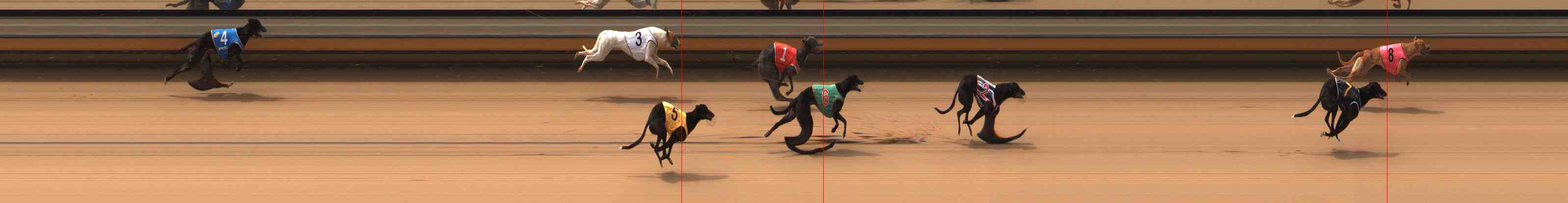 Photo finish for Warrnambool Race 3