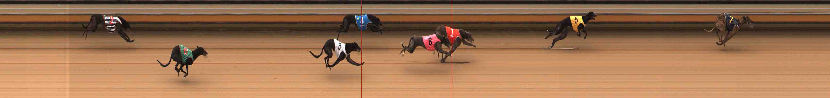 Photo finish for Warrnambool Race 4