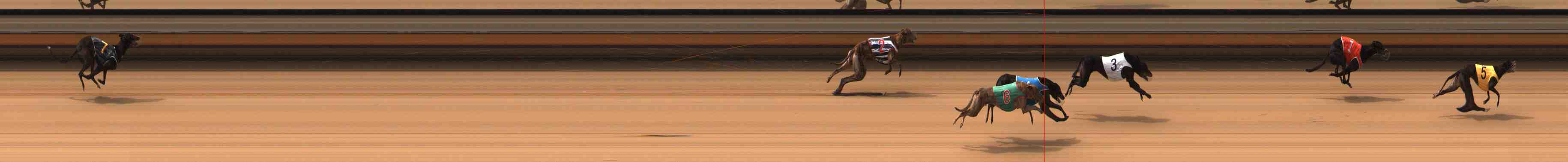 Photo finish for Warrnambool Race 5