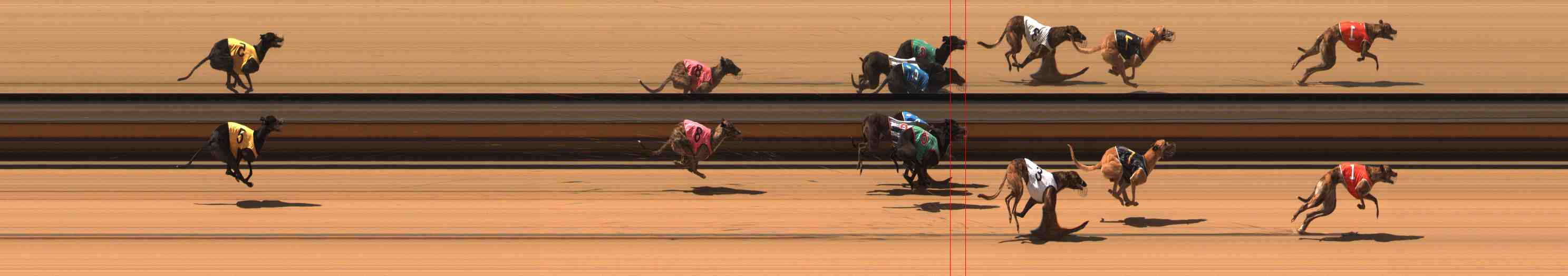Photo finish for Warrnambool Race 6